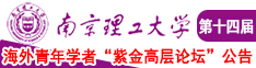 草好爽的网站南京理工大学第十四届海外青年学者紫金论坛诚邀海内外英才！